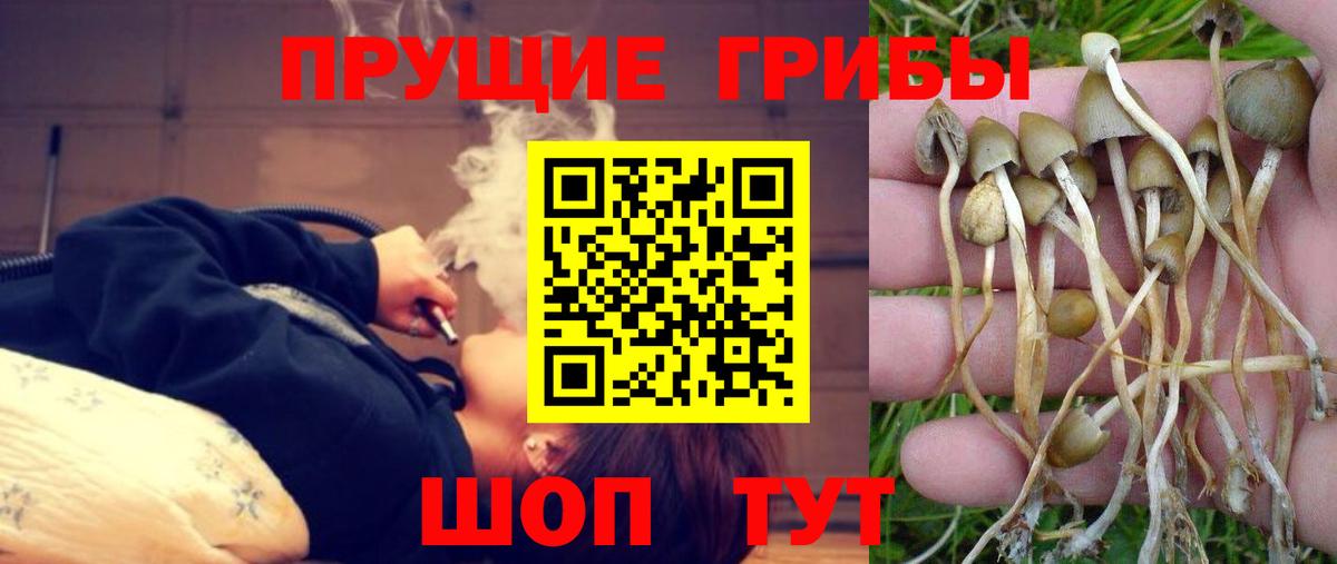 Галлюциногенные грибы Psilocybine cubensis  Вход с VPN  даркнет сайт  Рославль 